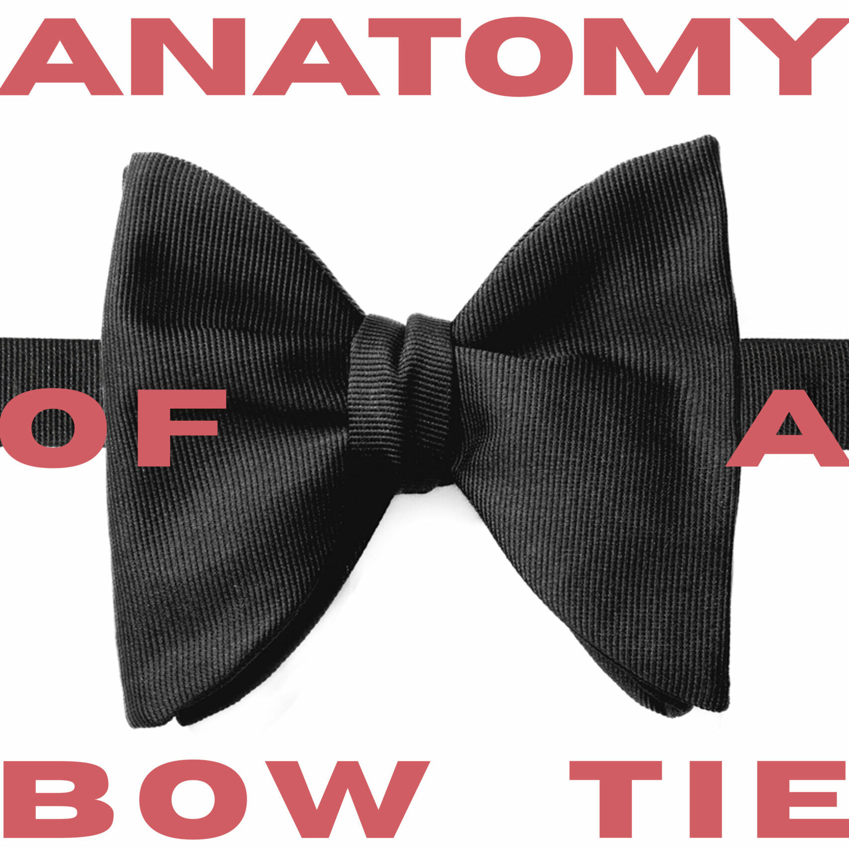 image of bow tie with text over it saying "anatomy of a bow tie"